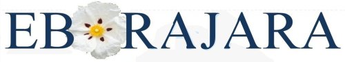 agent-logo
